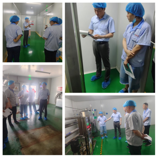 Report on Self-inspection Results of Shandong Ruisheng Pharmaceutical Excipients Co., Ltd.: Practice and Optimization of Quality Standards