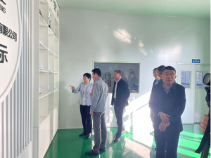 Secretary Qi of the county party committee came to the company to inspect and guide
